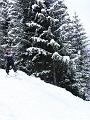 080324(Snowboarding_Dorfgastein)_20